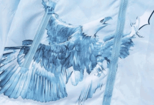 Casaca Parka TRAPSTAR "Aguila" Corta Vientos Bordada PK - Imagen 3